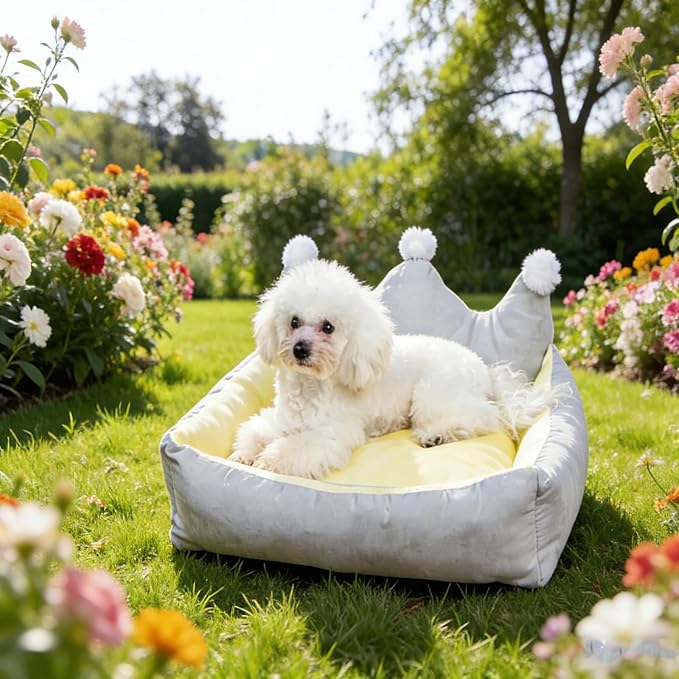 Cute Crown Pet Beds for Dogs Cat,Fashionable Luxurious Crown Cat Princess Beds Winter Warm Puppy Cat Sofa Bed Soft Upholstered Plush Sofa,Durable Washable Anti-Slip Dog Beds (Grey, M-Below 9.0kg)