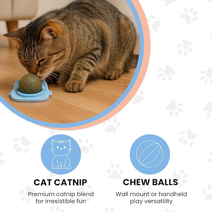 Catnip Balls for Cats Wall - 3 Pack Edible Kitty Toys for Cats Lick - Safe Healthy Kitten Chew Toys - Teeth Cleaning Dental Cat Toys - Silvervine 2 Inch Pink Blue Orange