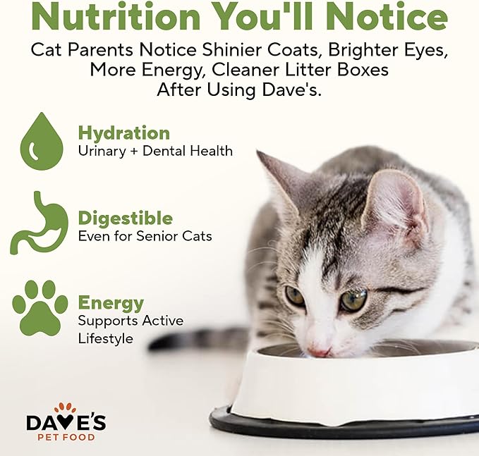 Dave's Pet Food Grain Free Wet Cat Food (Farmyard Fowl, Chicken & Duck), Made in USA Naturally Healthy Canned, Added Vitamins & Minerals, 5.5 oz Cans (24 Pack)