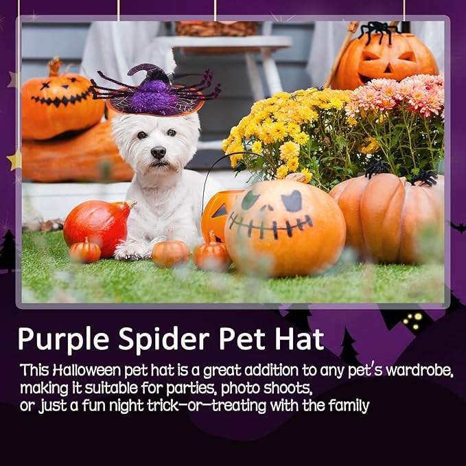 Halloween Adjustable Witch Pet Hat for Cats Dogs Purple Spider Pet Hat for Small and Medium Cats Dogs Halloween Funny Head Accessories