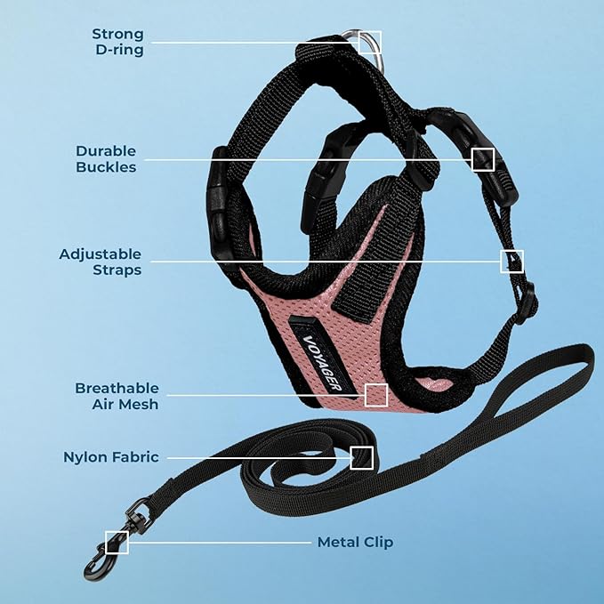 Voyager Escape-Proof Step-in Lock Cat Harness & 5ft Neoprene-Handle Leash Set All-Weather Mesh with Reflective Stitching for Small to Large Cats by Best Pet Supplies, Pink/Black Trim, XXXS