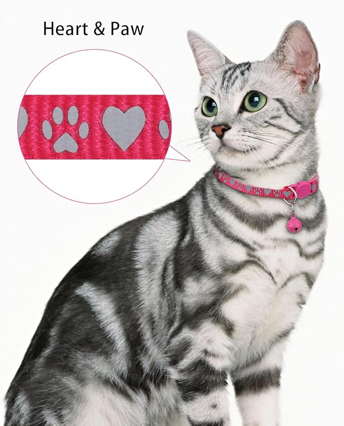 TagME Cat Collar with Name Tag, Personalized Reflective Cat Collar Breakaway, Pet Collar with Silent Slide On ID Tags for Boy and Girl Kitten/Cat