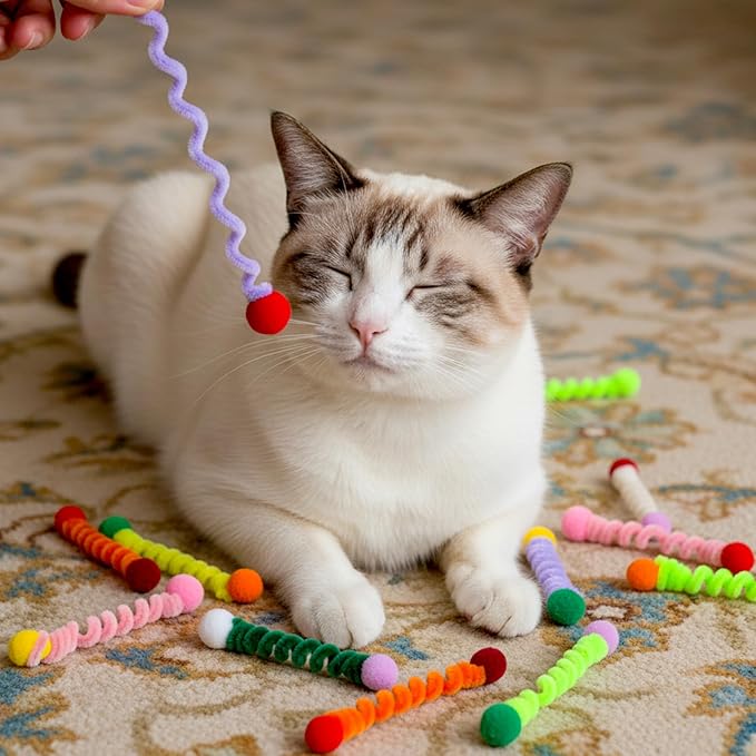 24PCS Spiral Coil Interactive Cat Toys, Cat Spring Toys in Vibrant Colors, for All-Age Kittens, Boredom Relief & Exercise Indoor Play, Swatting, Biting, Hunting Toys