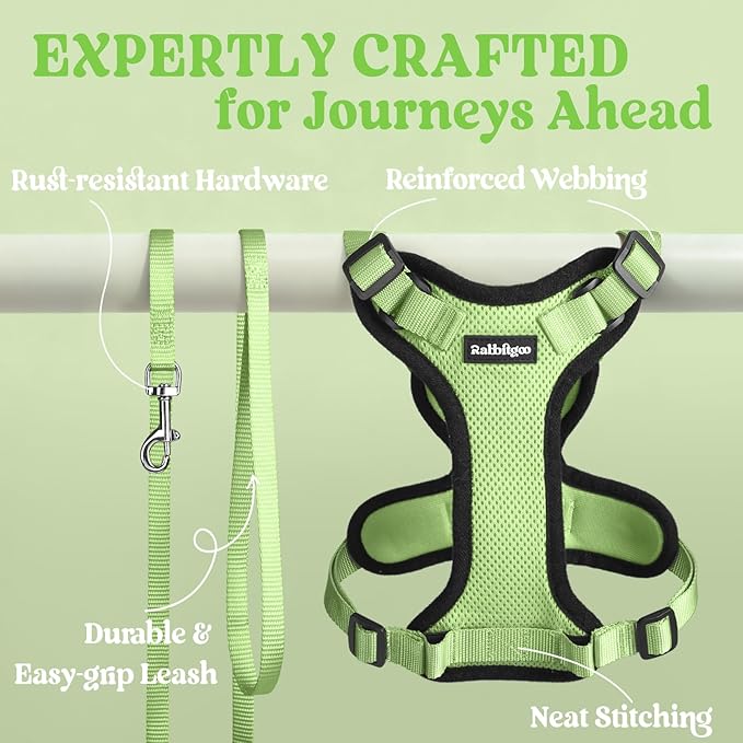 rabbitgoo Cat Harness and Leash for Walking, Escape Proof Soft Adjustable Vest Harnesses for Cats, Easy Control Breathable Reflective Strips Jacket, Light Green, S