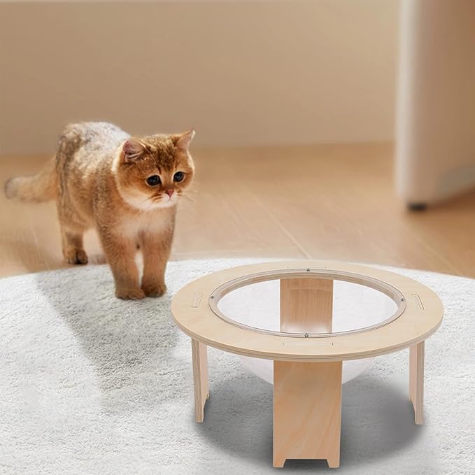 Clear Capsule Cat Bed 44×20 cm, Transparent Acrylic Calming Small Pets Bed with Breathable Holes, Raised Dome Window Lounger for Indoor Kitten Puppy, Stackable Modern Pet Furniture