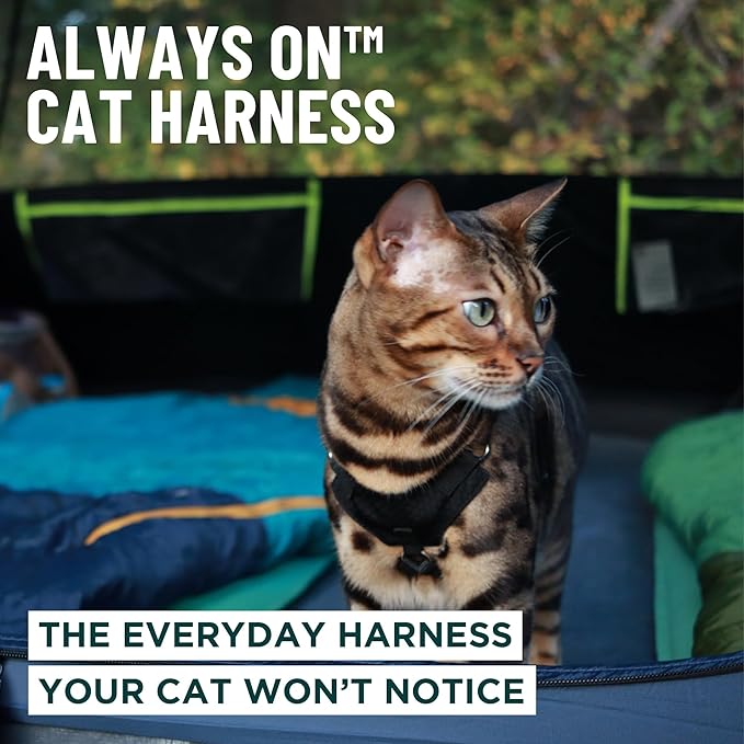 OutdoorBengal Always On™ Martingale Cat Harness and Leash Escape Proof Set – Vest for All-Day Kitten Adventures – Adult Cats - Cat Leash and Harness Escape Proof + Leash (Black Reflective, M/L)