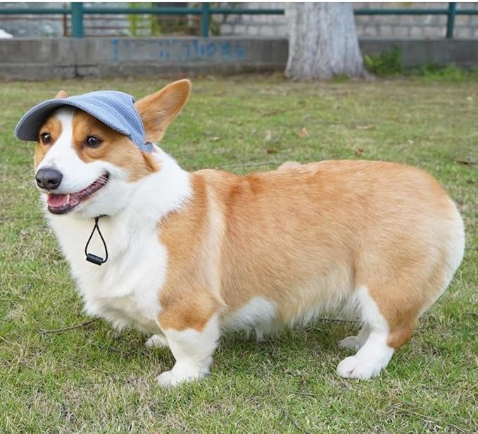Selena Baseball Cap for Dog Cat with Ear Holes Adjustable Hat Cute Puppy Kitten Pet Outdoor Sun Protection Sport Costume Apparel (X-Large,Blue)