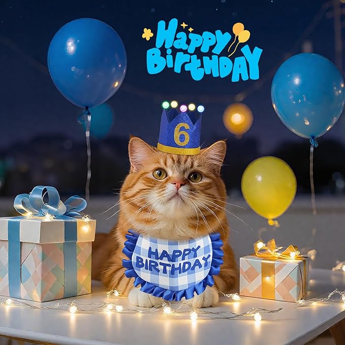 Cat Birthday Hat with Bandana, Light Up Party Outfit, Sapphire Blue