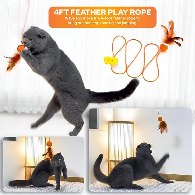 Toy Box – 5 Interactive Indoor Cat Toys with Spiral Tunnel, 3-Way Mesh Tunnel, Feather Wand, Ribbon Teaser & Suction Cup for Active Cats
