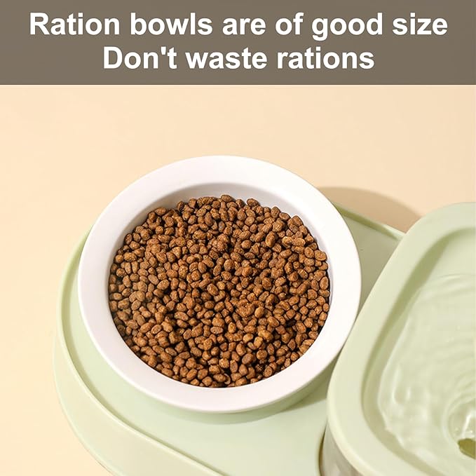Pet Feeding Bowl Cats Raised Food Small Dog Cats Food Large Capacity Antislip Water Dispenser Waterer Supplies Pet Water Fountain
