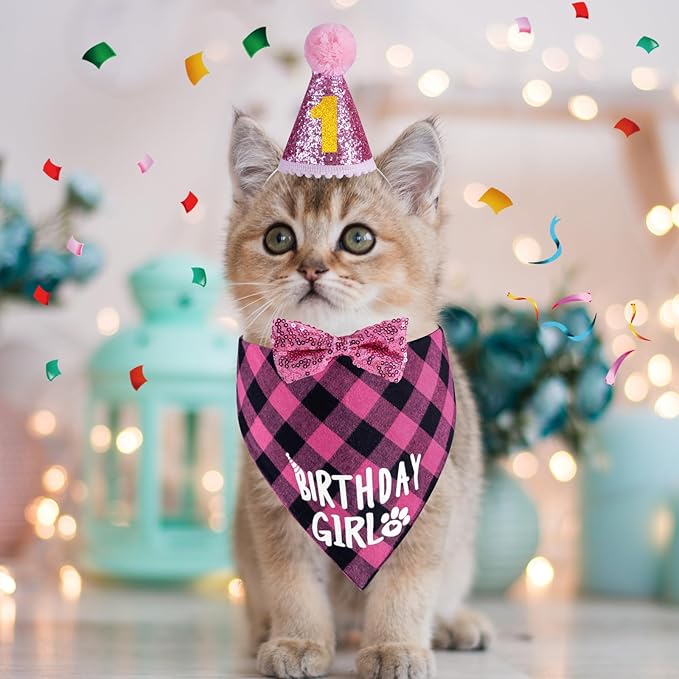 Cat Birthday Decorations, Pink Girl Cat Birthday Bandana Hat Numbers Bowtie for Cats Party Outfits