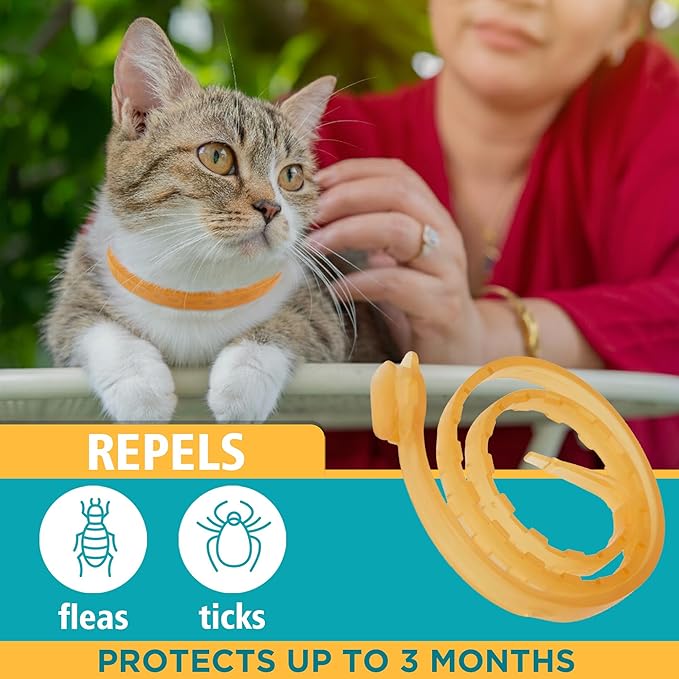 Only Natural Pet EasyDefense Flea & Tick Cat Collar - Feline Flea Collars Biting Insect Control - Pet Care that Protects up to 3 Months - for Cats (Single Collar)
