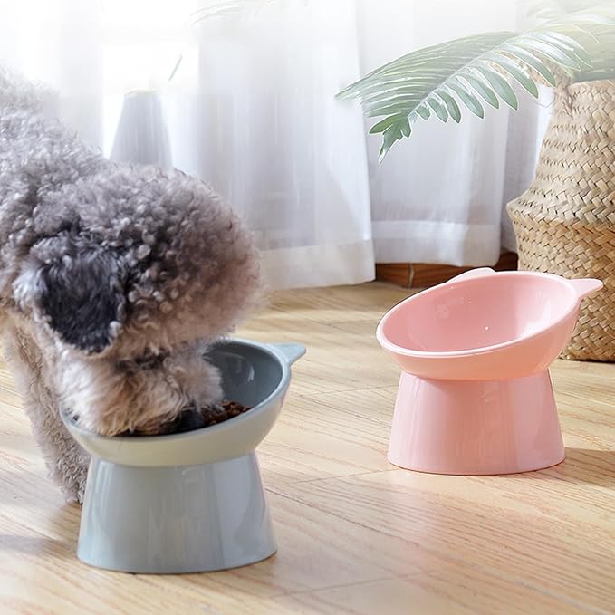 Raised Cat Food Bowl, 15° Tilted Whisker Friendly Dog Water Bowl Anti Vomiting Pet Dishes Puppy Ergonomic Feeding Set Supplies for Cats and Puppies (Blue Gray)