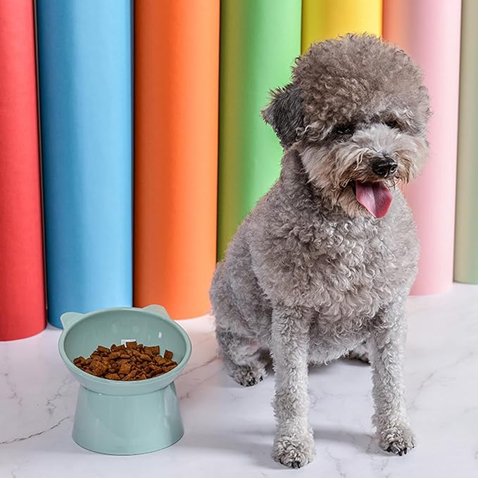 Raised Cat Food Bowl, 15° Tilted Whisker Friendly Dog Water Bowl Anti Vomiting Pet Dishes Puppy Ergonomic Feeding Set Supplies for Cats and Puppies (Green)