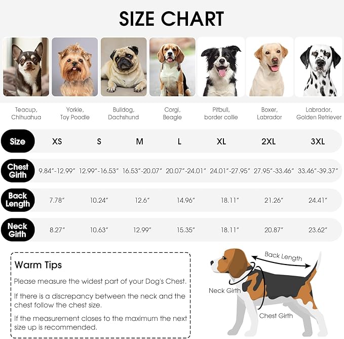 Queenmore Recovery Suit for Dogs Cats After Surgery,Dog Surgical Recovery Suit Onesie,Anti Licking Pet Female Post-Operative Spayed Neutered Puppy Surgical Clothes for Abdominal Wounds, Grey 3XL