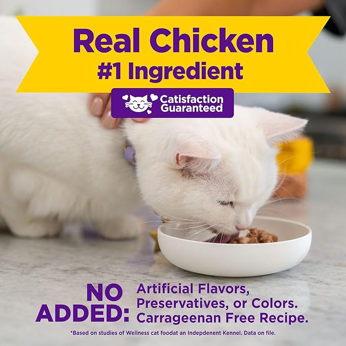 Wellness Appetizing Entrées Mousse Adult Wet Cat Food, Natural, Protein Rich, Grain Free, Chicken and Turkey Recipe, 1.4 oz, Pack of 8 Pouches
