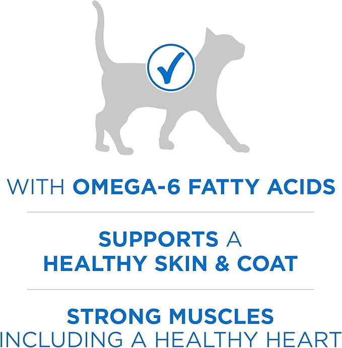 Purina ONE Plus High Protein Cat Food Dry Salmon and Ocean Whitefish Cat Skin and Coat Health Formula - 3.5 lb. Bag