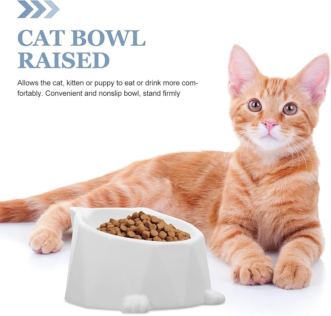 Alipis Ceramic Raised Cat Bowl Elevated Feeding Dish Non-Spill Pet Food Bowl for Daily Use Cats White