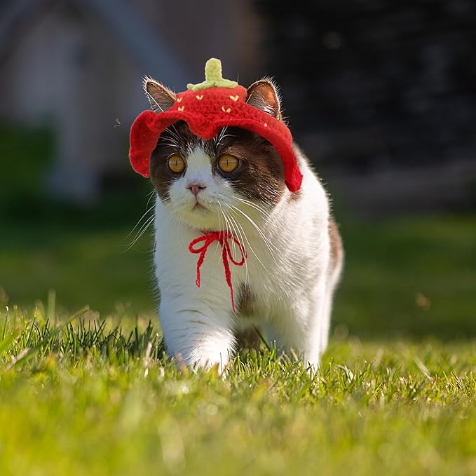 Piriuuo Strawberry Cat Hat, Cotton & Soft Cute Knitted Hats for Cats Strawberry Crochet Cat Hats for Cats Only Cute Puppy Hat for Small Pets on Christmas Birthday Party Halloween (Red, S)