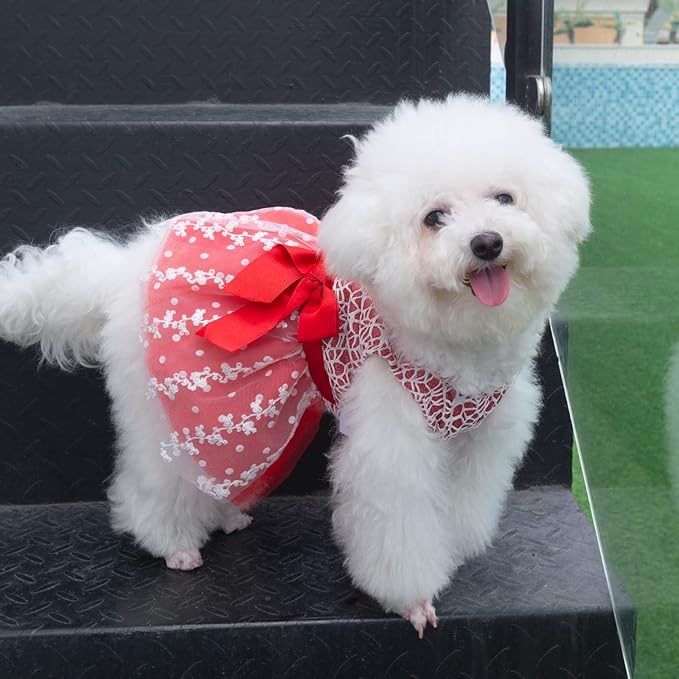 CuteBone Dog Christmas Dress Girl Puppy Birthday Skirt Tutu Cat Wedding Outfit Pet Party Clothes for Small Dogs Costume DD09M