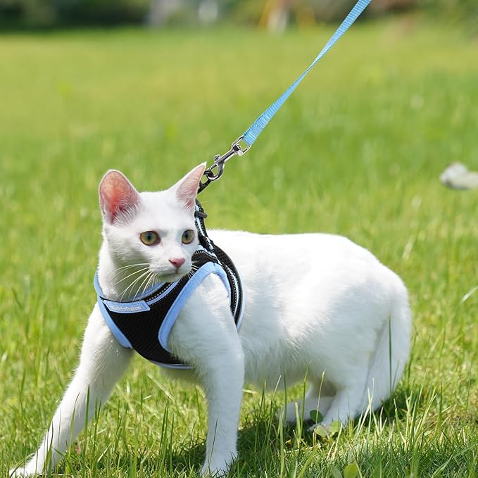 rabbitgoo Cat Harness and Leash Set for Walking Escape Proof, Adjustable Soft Kittens Vest with Reflective Strip for Cats, Comfortable Outdoor Vest, Black & Light Blue, L