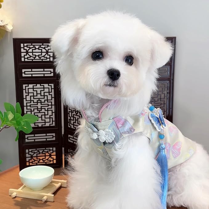 Chinese Cheongsam Dog Dress, Butterfly Printed Pet Qipao with Tassel & Knot, Traditional Chinese Style Outfit for Small Dogs & Cats, Festive Costume for Puppy Kitten (X-Large)