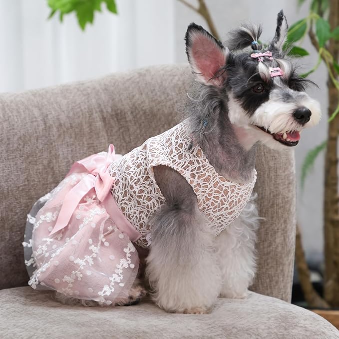 CuteBone Dog Birthday Dress Girl Puppy Skirt Tutu Cat Wedding Outfit Pet Party Clothes for Small Dogs Costume DD23XXS