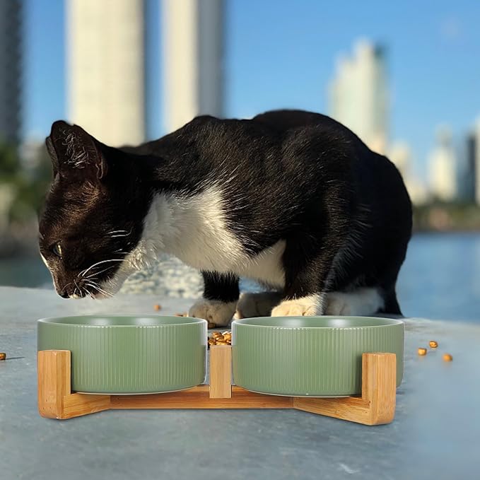 Ceramic Cat and Dog Feeding Bowl Set with Wood Stand, Non-Slip Raised Double Bowls for Pets, Matte Green Finish, Suitable for Indoor Feeding and Watering