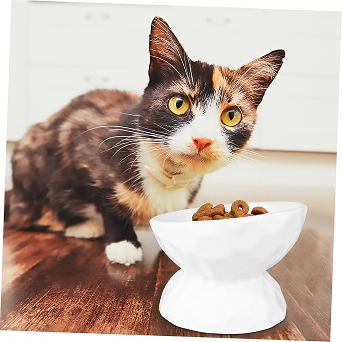 Alasum Elevated Cat Ceramic Feeding Bowl with Neck Protection, Small White Raised Pet Feeder for Kitten, Anti-Spill Design Suitable for Indoor Cat Feeding and Watering