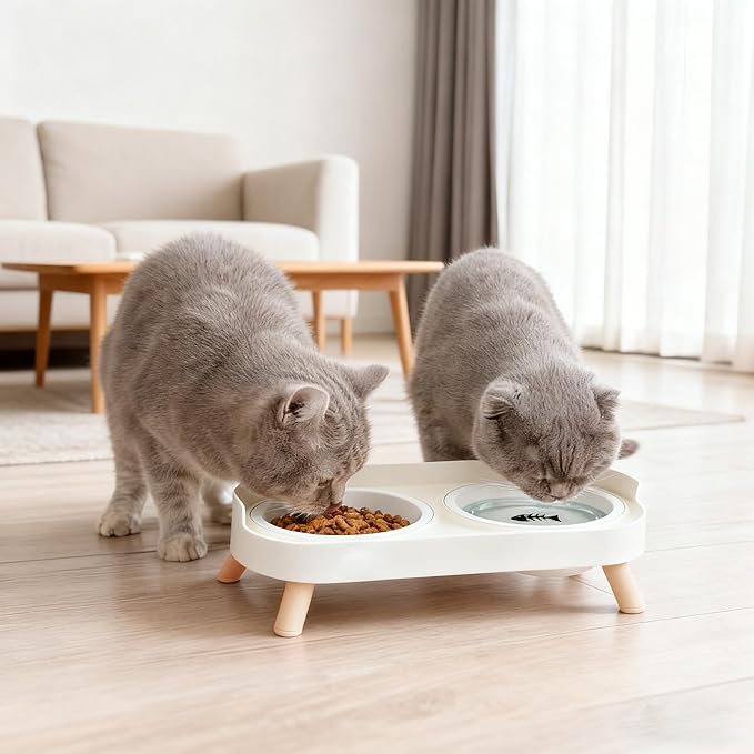Elevated Cat Bowls, 2 Ceramic Raised Cat Food and Water Bowl Set, Prevent Cat Chin Acne, Whisker Fatigue Friendly, Splash Proof & Dishwasher Safe for Indoor Cats and Small Dogs - White