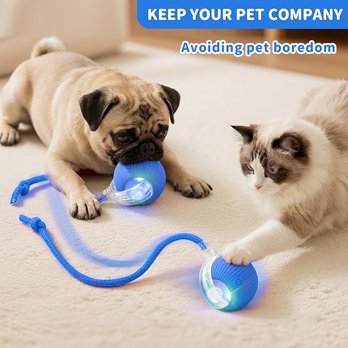 Interactive Cat Toys for Indoor Cats Smart Automatic Ball Rolling for Bored Kitten Pet Upgraded Speedy Moving Chase Dogs Toy Mothers Day Gifts Blue Dragonfly