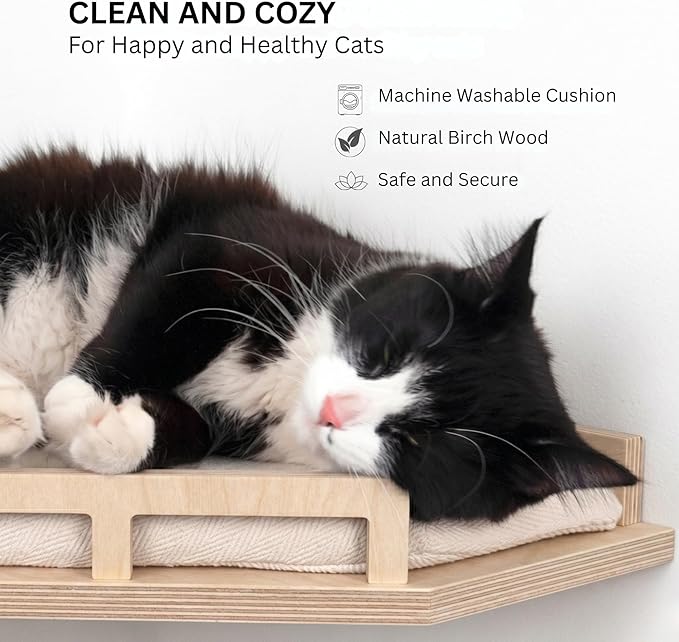 INICIO Cat Wall Shelves - Safe and Sturdy Cat Wall Furniture - Stylish Corner Shelf with 3 Steps for Cats up to 15lbs - Cushioned Perch and Stairs for Climbing and Playing - Natural Wood
