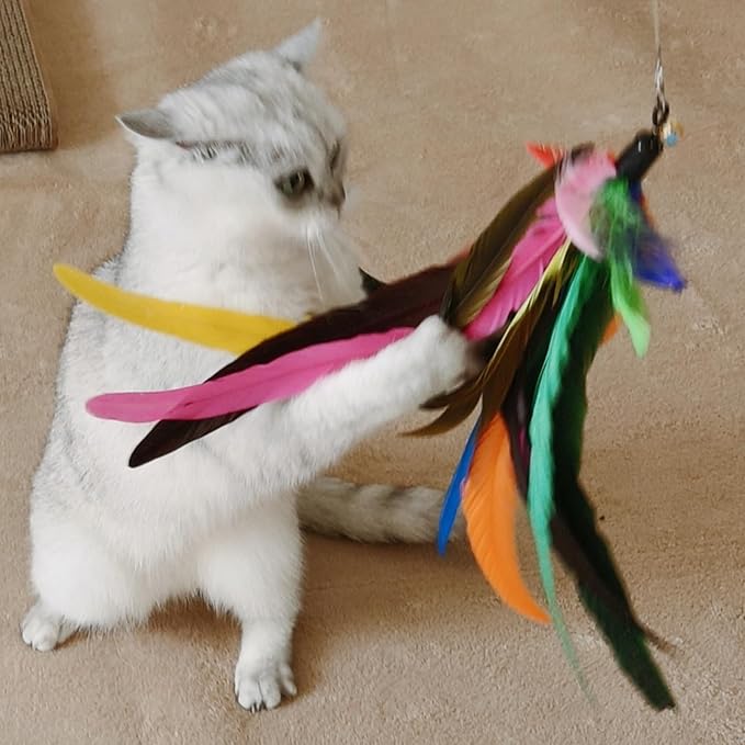 miwoowim Da Bird Feather Refill - 2 Extra-Large Natural Replacement Attachments(13.8inch) and 4 Feather Toys Refills(5.8inch) for Indoor Cats,Cat Wand Attachment (6PCS)
