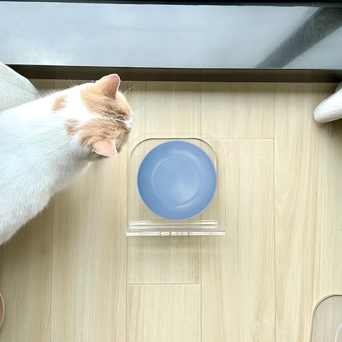 10 Pcs Cat Food Bowls for Whisker Fatigue Relief, 5.7 Inch Cat Dishes for Food and Water, Wheat Straw Kitten Bowls for Indoor Cats, Wide Shallow Small Pet Dishes Plates