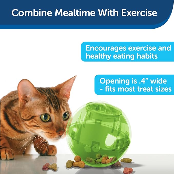 PetSafe Slimcat Feeder Ball - Interactive Game for Your Cat - Fill with Food and Treats - Green