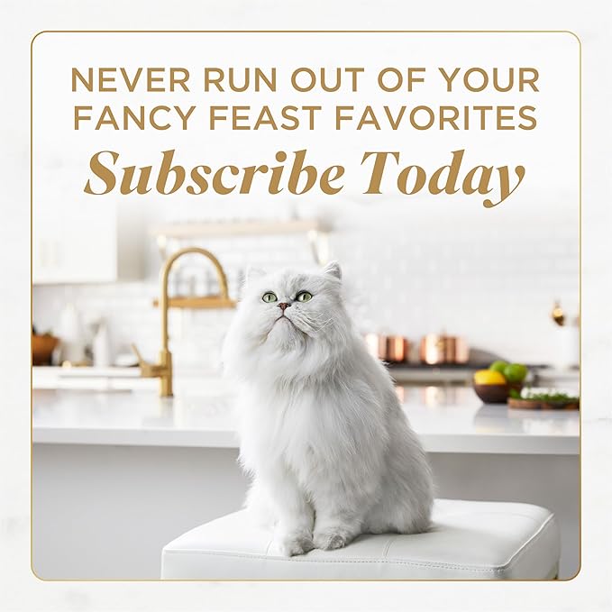 Fancy Feast Gems Pate Cat Food Mousse with Beef and a Halo of Savory Gravy Cat Food - 4 oz. Boxes,(Pack of 16)