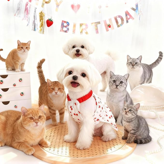 pet Clothes for Dog cat Sweet and Cute Girl (X-Large)
