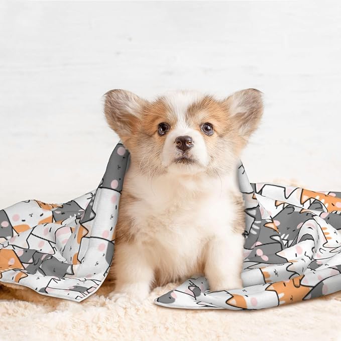 Pet Blanket,Warming Ultra Soft Warming Mat for Indoor Pet Beds & Furniture Reversible Blanket Machine Washable 27.6 * 19.7Inch,Cute Animals Pattern