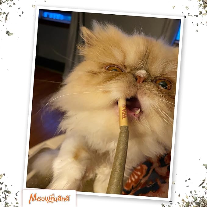 Meowijuana Rollies 2-Pack | Two 6-Packs King Size Catnip Rollies | Hand Harvested and Rolled High Potency Catnip | Grown in North America | Promotes Cat Play