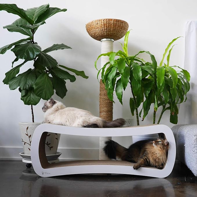 PetFusion Jumbo Cat Scratcher Lounge, White. 39 x 11 x 14 inch 4 Cardboard Scratching Surfaces and 2 Levels, Scratch, Play, Perch, and Hide100% Recyclable Cardboard Cat Lounge