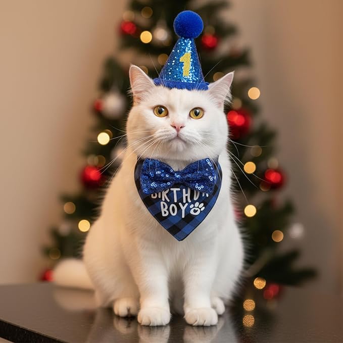Xindojuz 1 Set Cat Birthday Hat Decorations, Adjustable Cat Birthday Hat with Number Bow Tie Bandana Collar for Cats Dogs Pet Kittens Apparel Christmas Party Outfits Supplies (Blue)