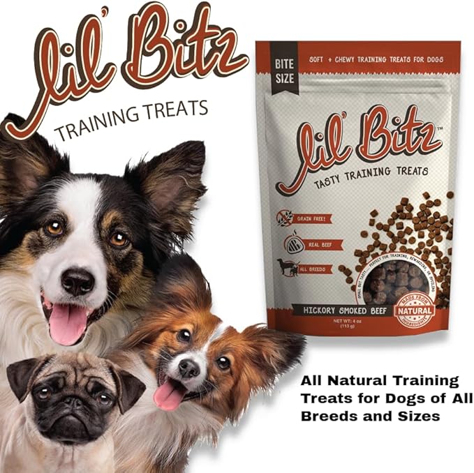 Lil' Bitz Soft & Chewy Training Treats for Dogs, Bite Size Reward Treats for Training & Positive Reinforcement, Grain Free Dog Treats Made with Real Beef, Hickory Smoked Beef Flavor, 4 oz Bag