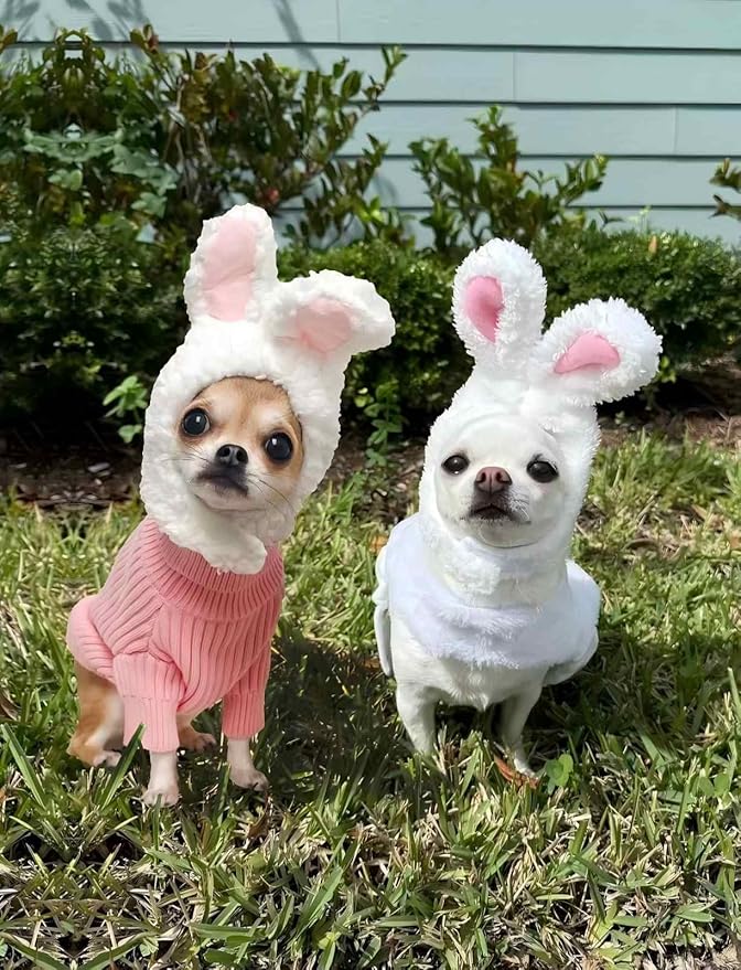 Rabbit Ears Hat for Cats & Small Dogs - Adjustable Plush Bunny Costume Headband for Easter, Halloween & Pet Party Dress Up (White)