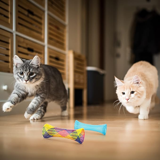 Leitee 60 Pcs Cat Spring Toys Kitten Colorful Fun Tubes Indoor Interactive Cat Tube Plastic Coil for Pet Hunt Scratching(Random Colors)