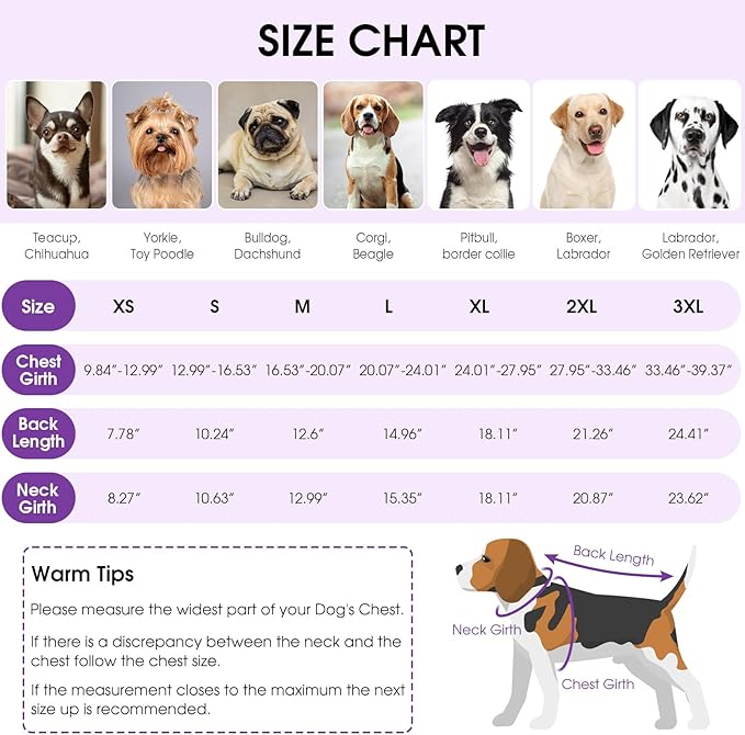 Queenmore Dog Surgical Recovery Suit Onesie, Recovery Suit for Dogs Cats After Surgery, Breathable Cotton Dog Surgery Suit Female Spay, Prevent Licking Pet Surgery Recovery Suit, Purple,XL