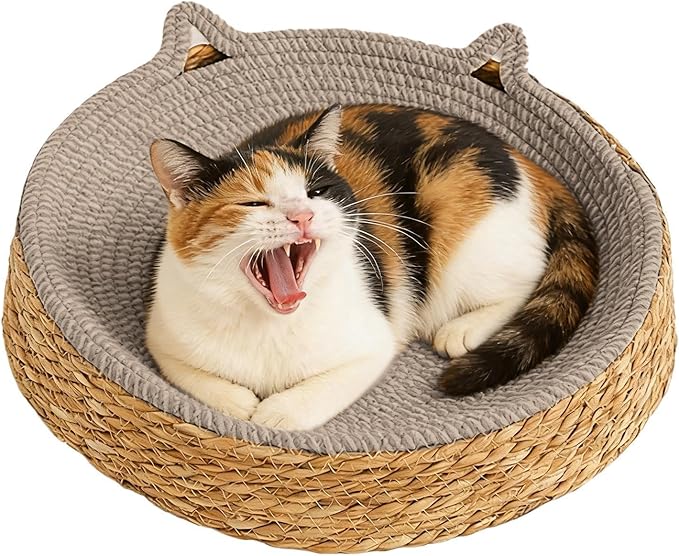 Cat Lounge Disc Bed Circular Sisal Fiber Ventilated Cooling Scratch Board Pad Rest Sleep Toy Tunnel Jump Fitness Paw Care Relaxation Ergonomic Nonslip FurnitureSafe Premium