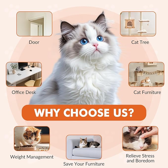 Wortade Interactive Cat Toys for Indoor Cats, Automatic Electric Flying Bird Feather Wand Toy, Rechargeable Electric Exercise Feather Toy for Bored Kittens and Adult Cats, Orange