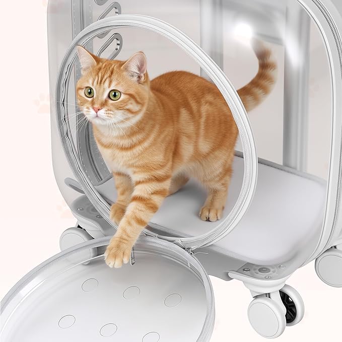 Portable Pet Carrier Trolley Box - Ventilated PC Travel Carrier with Silent Shock-Absorbing Wheels, Telescopic Handle for Cats, Small Dogs, Puppies - Outdoor Hiking, Camping, Car & Airline A