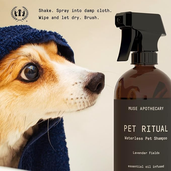 Muse Apothecary Pet Ritual Aromatic Waterless Dog Shampoo - No Rinse Dry Shampoo for Dogs & Cats - Essential Oils Infused, 16oz, Oatmeal + Mango