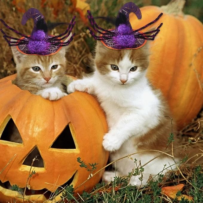 Halloween Adjustable Witch Pet Hat for Cats Dogs Purple Spider Pet Hat for Small and Medium Cats Dogs Halloween Funny Head Accessories